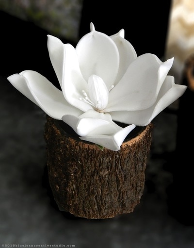 Magnolia decor